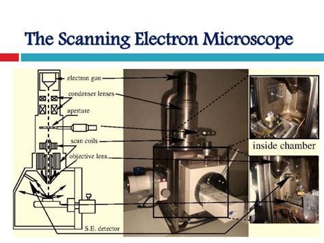 electron microscope slideshare